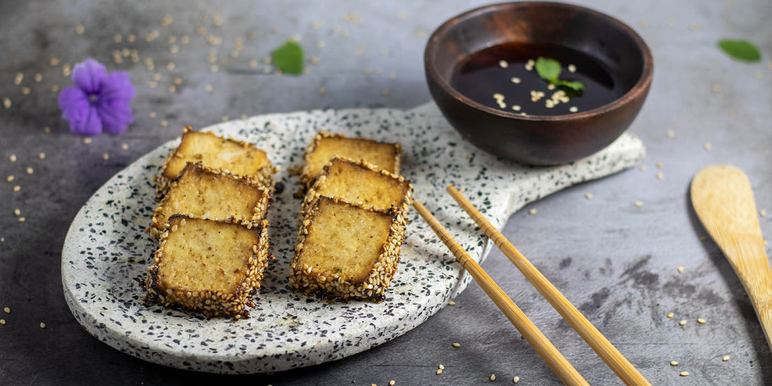Sesame crusted tofu with teriyaki glaze