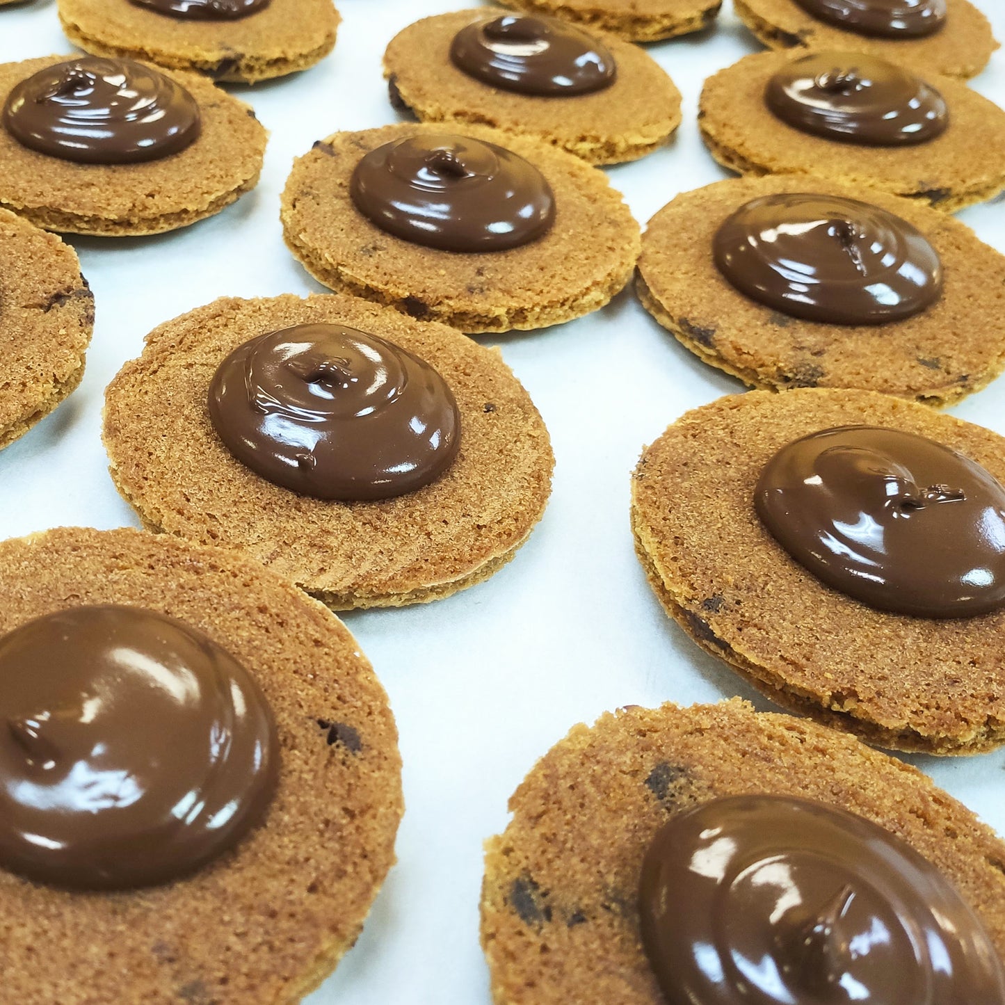 Chocolate Chip Hazelnut Cookie Sandwich